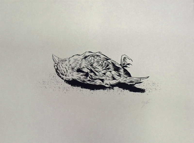 Dead Bird